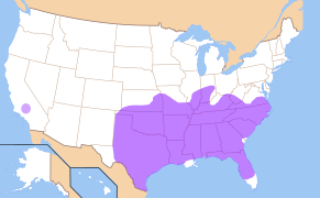 Phonological history of English high front vowels