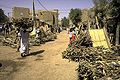 Image 14Selling firewood at a market (from Tree)