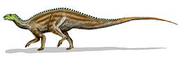 A Tenontosaurus rekonstrukciója