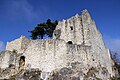 Ruine der ehemaligen Reichsburg