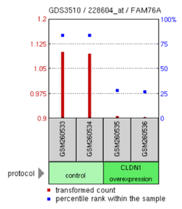 FAM76A levels in H. sapiens lung adenocarcinoma cell lines were compared between cultures that had claudin-1 (CLDN1) overexpression and control cells