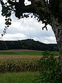 Der Irchelturm von Äschhalden aus gesehen