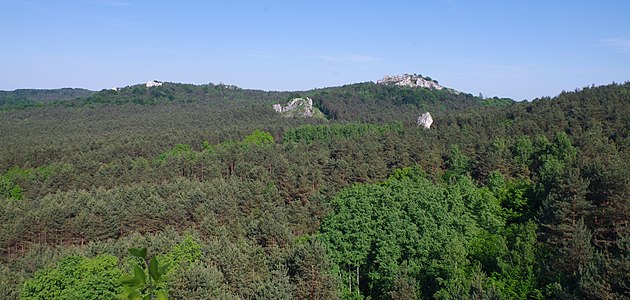 Fragment pasma Skał Kroczyckich