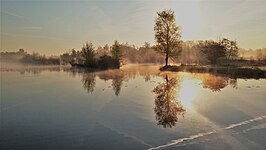 Molenpolder