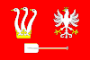 Flag of Příchovice