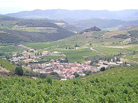 A general view of Rasiguères