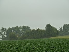 Tumulus van Hodeige