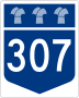 Highway 307 marker