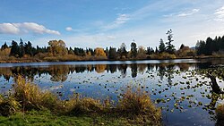 A small lake