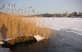 … im Winter 2006 vom Hagaparken aus