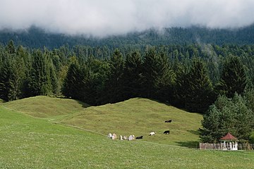 Buckelwiese bei Kaltenbrunn