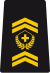 WO-2 - Staff warrant officer