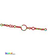 ceN93: Secondary structure taken from the Rfam database. Family RF01663