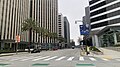 Palm trees in Century City