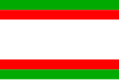 Vlag