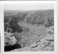 The Amphitheatre, Palm Valley, c1955