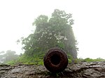 Kotali Fort with two iron guns and one bronze gun