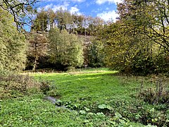 Liether Bach mit Pestwurzbestand vor Einmündung in den Hasper Bach