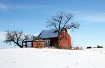 The Milner barn on the east side of town, since demolished.