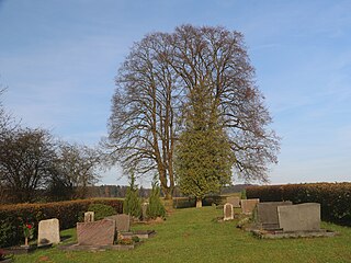 Friedhof Nanz-Willershausen 🔍