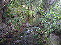 Wasserlauf in Rosdorf östlich Rischenweg