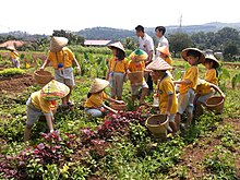 Wisata Pendidikan