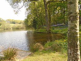 Small reservoir with trees and flowers lining the sides