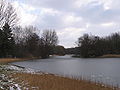 Delftse Hout in de winter