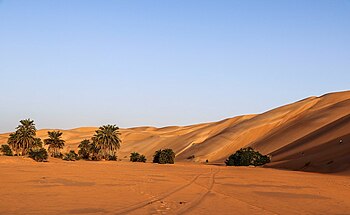 Sand dune in erg Amatlich