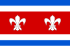 Flag of Zdice