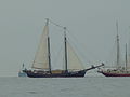 Hanse Sail 2013