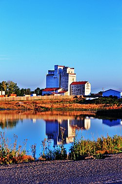 Early morning light on the grain elevators in Herbert.