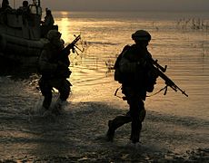 13. Deniz Sefer Birimi üyeleri, 15 Temmuz 2007'de kordon ve arama operasyonları yapmak için Irak'taki Tharthar Gölü kenarındaki sazlıklara giriyor.