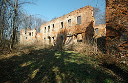 Castle ruins