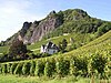 Weinberge über Rhöndorf