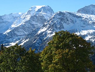 Der Tödi (3612 m ü. M.) von Braunwald gesehen