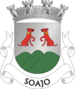 Vlag van Soajo