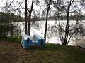 Boats and casuarinas on the shores of Narrabeen Lake