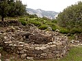 Circular Hut