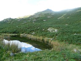 A small lake surrounded by reeds on the slope of a mountain covered in vegetation with rocky outcrops