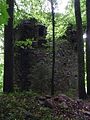 Burgruine Falkenstein: sog. Wasserturm