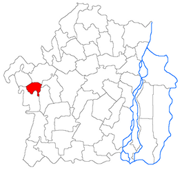 Location in Brăila County