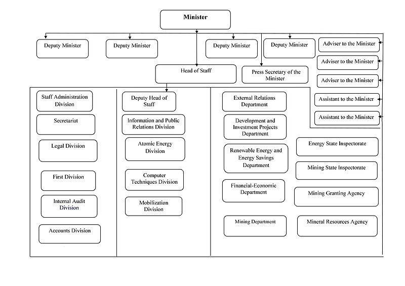 Organizational Structure