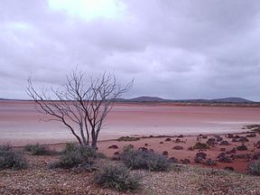 Lake Gairdner