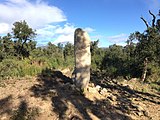 Menhir in La Jonquera