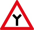 Y junction