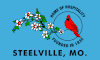 Flag of Steelville, Missouri