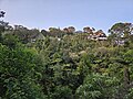 The Wairaki Stream valley