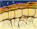 Thumbnail for version as of 19:23, 25 February 2023