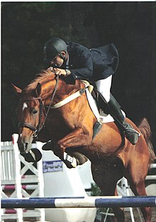 A brown horse in mid-air over a blue and white striped fence. The horse is ridden by a man in a black helmet, coat and boots and white pants. In the background, other fences are partially visible.